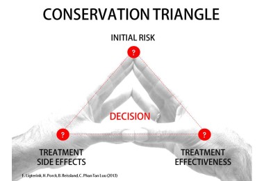 The Conservation triangle helps conservators taking conservation decisions.