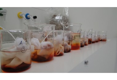 Madderbaths with various parameters in the recipes for different colournuances.