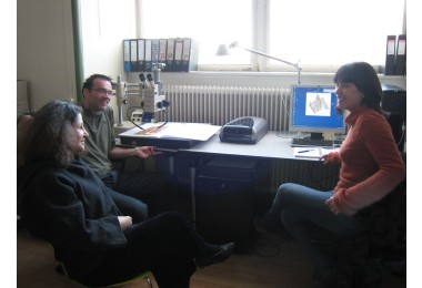 The project team working.