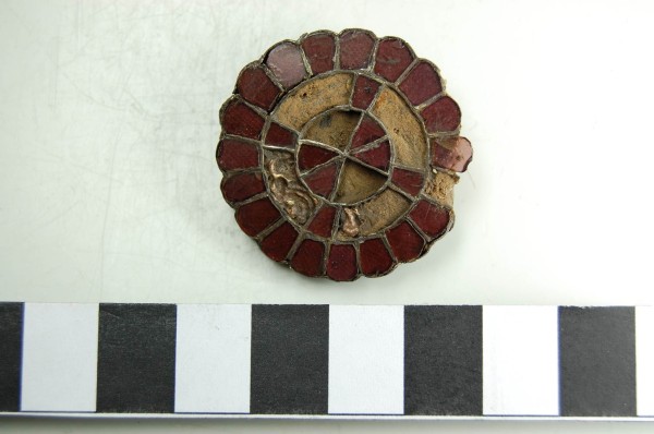 Measuring points on a fibula
